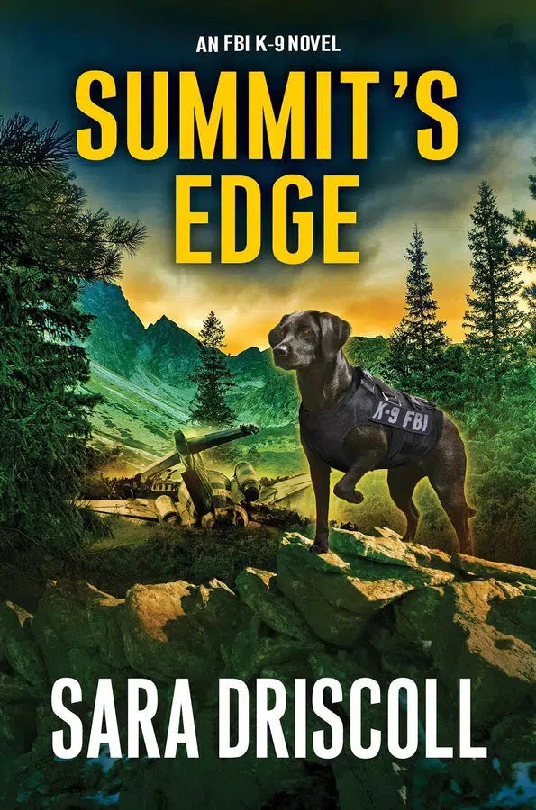 Summit’s Edge-Crime and mystery: police procedural-買書書 BuyBookBook