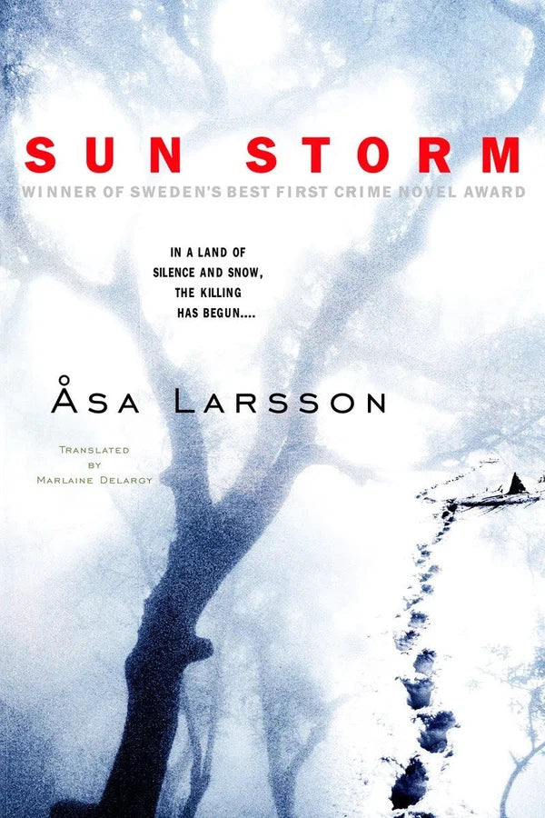 Sun Storm-Thriller / suspense fiction-買書書 BuyBookBook