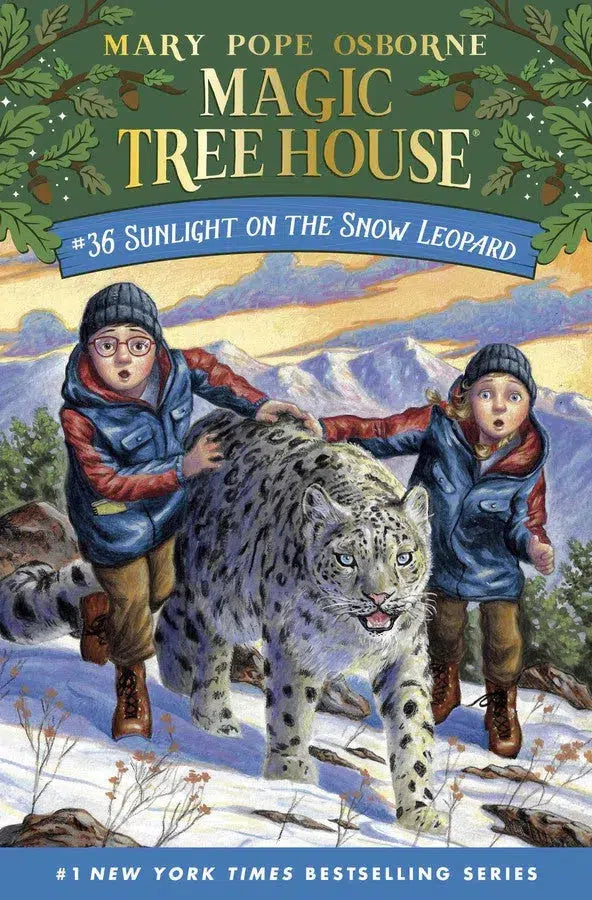 Sunlight on the Snow Leopard-Children’s / Teenage fiction: Action and adventure stories-買書書 BuyBookBook