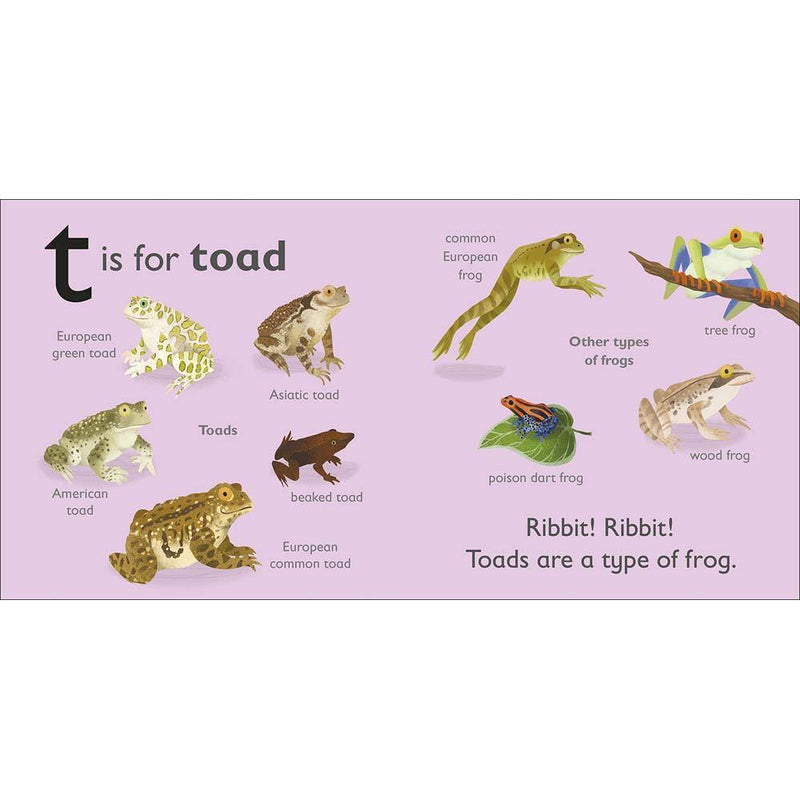 T is for Toad (Board book) DK UK