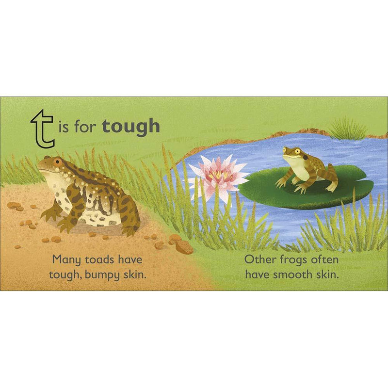 T is for Toad (Board book) DK UK