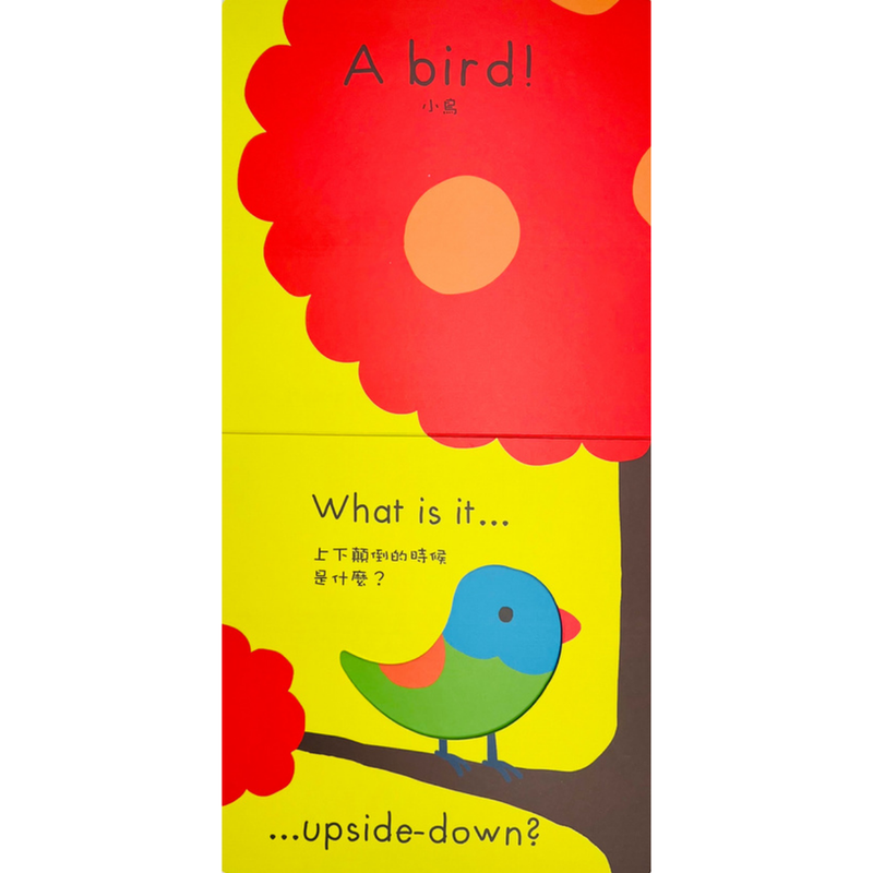 Ta-Da, The Magic Box(6 books)-Picture storybooks: imagination and play-買書書 BuyBookBook