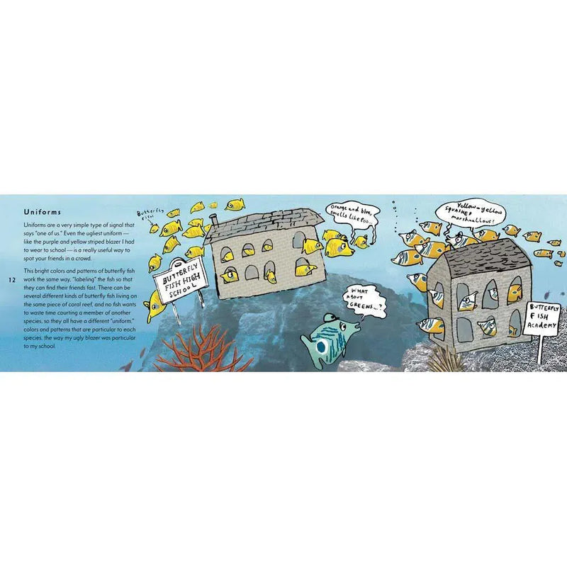 Talk, Talk, Squawk! Candlewick Press