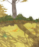 Thank You, Mr. Falker