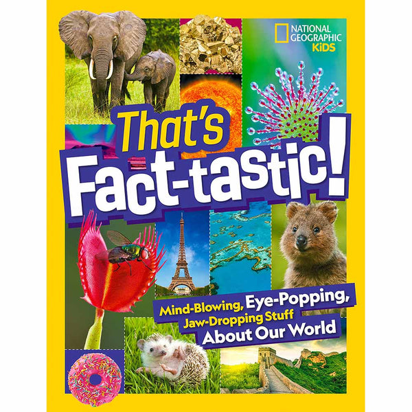 That's Fact-tastic!-Nonfiction: 參考百科 Reference & Encyclopedia-買書書 BuyBookBook