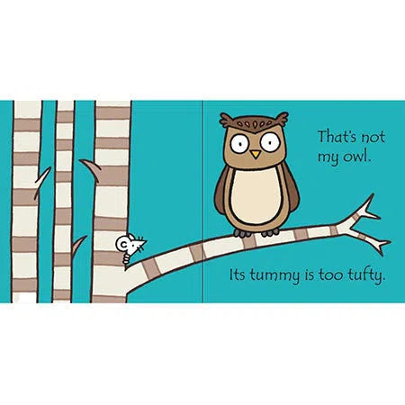 That's not my owl... Usborne