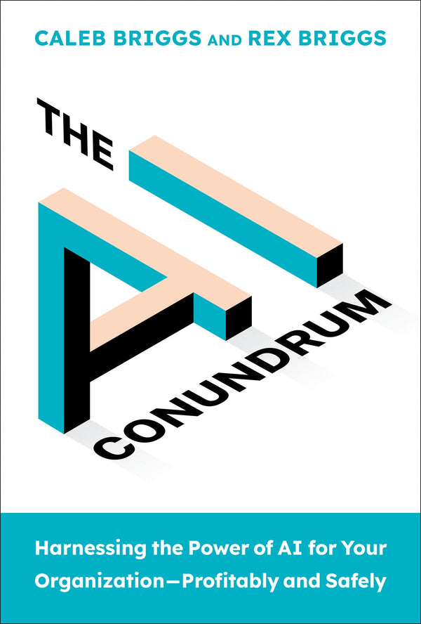 The AI Conundrum-Business strategy-買書書 BuyBookBook