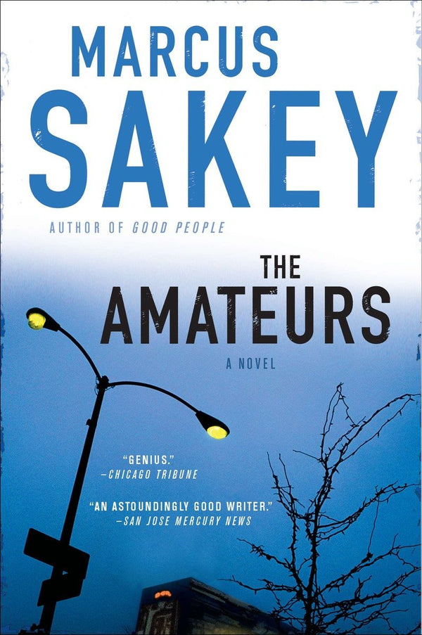 The Amateurs-Thriller / suspense fiction-買書書 BuyBookBook