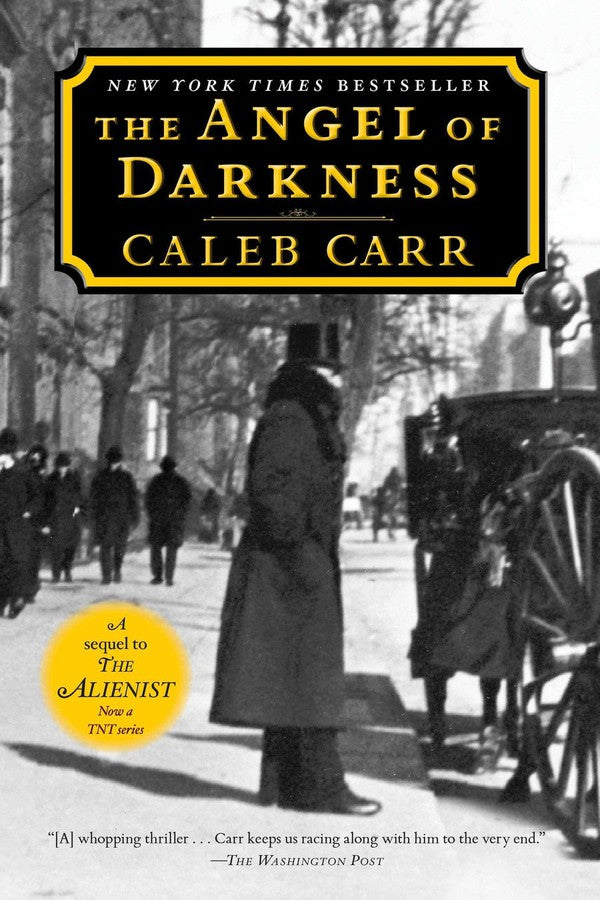 The Angel of Darkness: Book 2 of the Alienist-Fiction: Crime and mystery-買書書 BuyBookBook