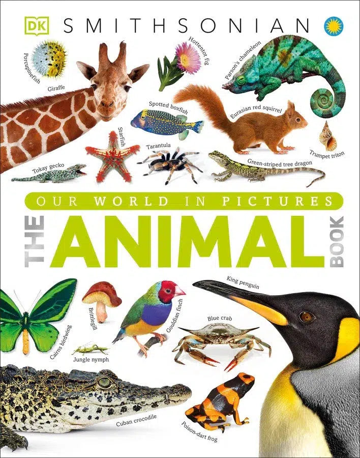 The Animal Book-Children’s / Teenage general interest: Nature and animals-買書書 BuyBookBook