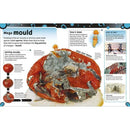 The Bacteria Book (Hardback) DK UK