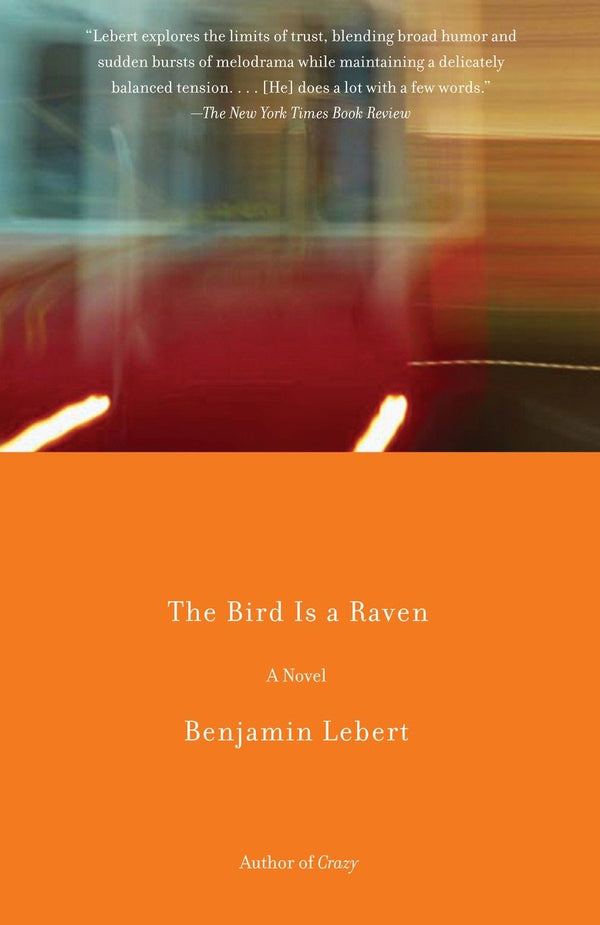 The Bird Is a Raven-Fiction: general and literary-買書書 BuyBookBook