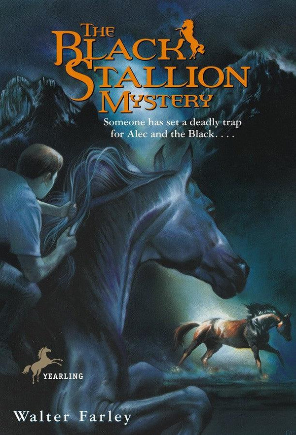 The Black Stallion Mystery