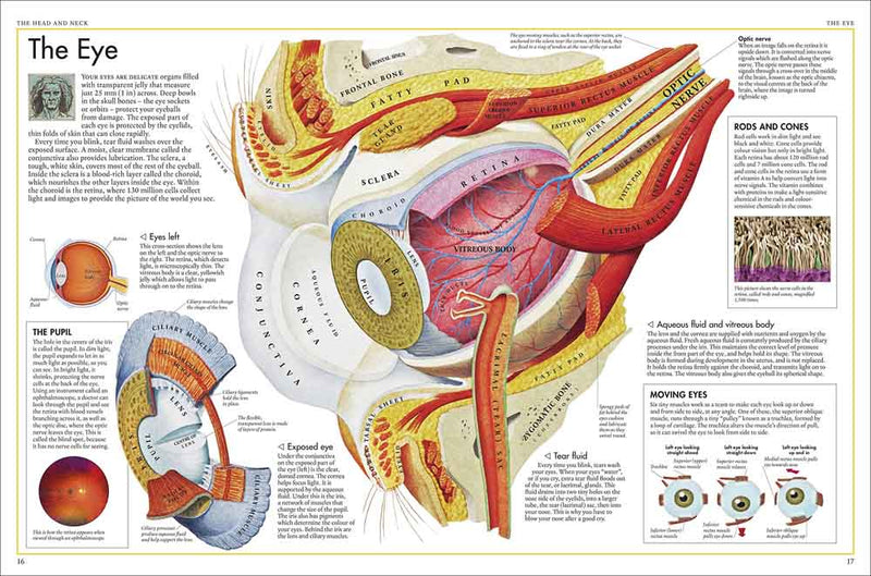 Body Atlas, The - A Pictorial Guide to the Human Body - 買書書 BuyBookBook