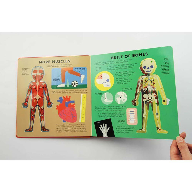 The Body Book (Board Book) Nosy Crow