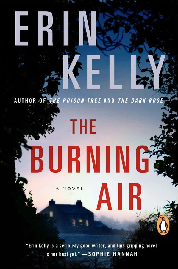 The Burning Air-Thriller / suspense fiction-買書書 BuyBookBook