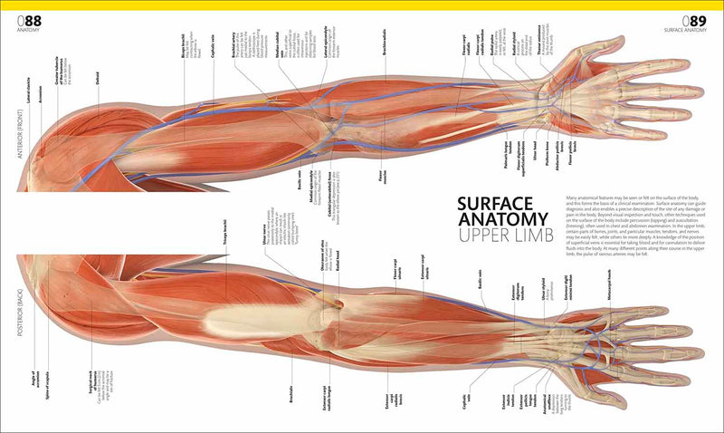 The Complete Human Body-Human biology-買書書 BuyBookBook