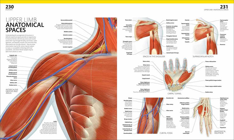 The Complete Human Body-Human biology-買書書 BuyBookBook