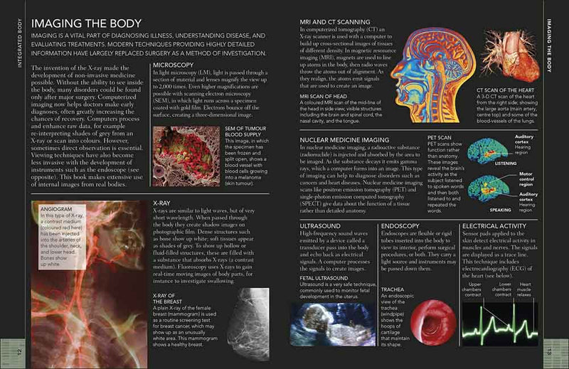 Concise Human Body Book, The - 買書書 BuyBookBook