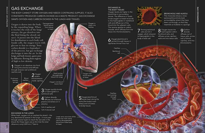 Concise Human Body Book, The - 買書書 BuyBookBook