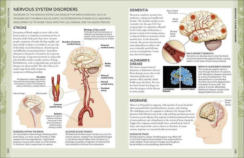 Concise Human Body Book, The - 買書書 BuyBookBook