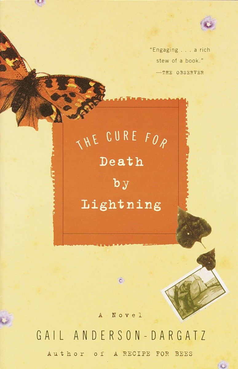 The Cure for Death by Lightning-Fiction: general and literary-買書書 BuyBookBook