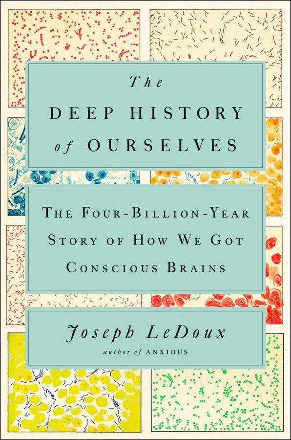 The Deep History of Ourselves-Mathematics and Science-買書書 BuyBookBook