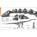 The Definitive Visual Guide - Dinosaurs and Prehistoric Life (Hardback) DK UK