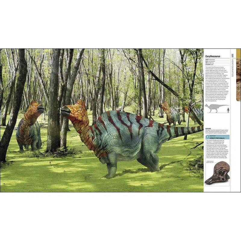 The Definitive Visual Guide - Dinosaurs and Prehistoric Life (Hardback) DK UK