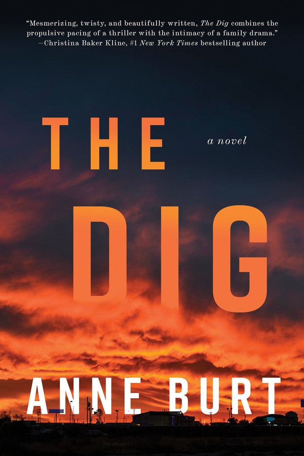 The Dig-Political / legal thriller-買書書 BuyBookBook