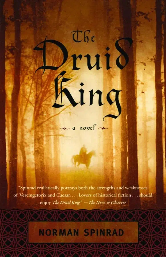 The Druid King-Fiction: Historical fiction-買書書 BuyBookBook