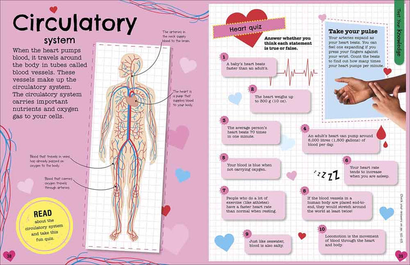 Fact-Packed Activity Book, The - Human Body - 買書書 BuyBookBook