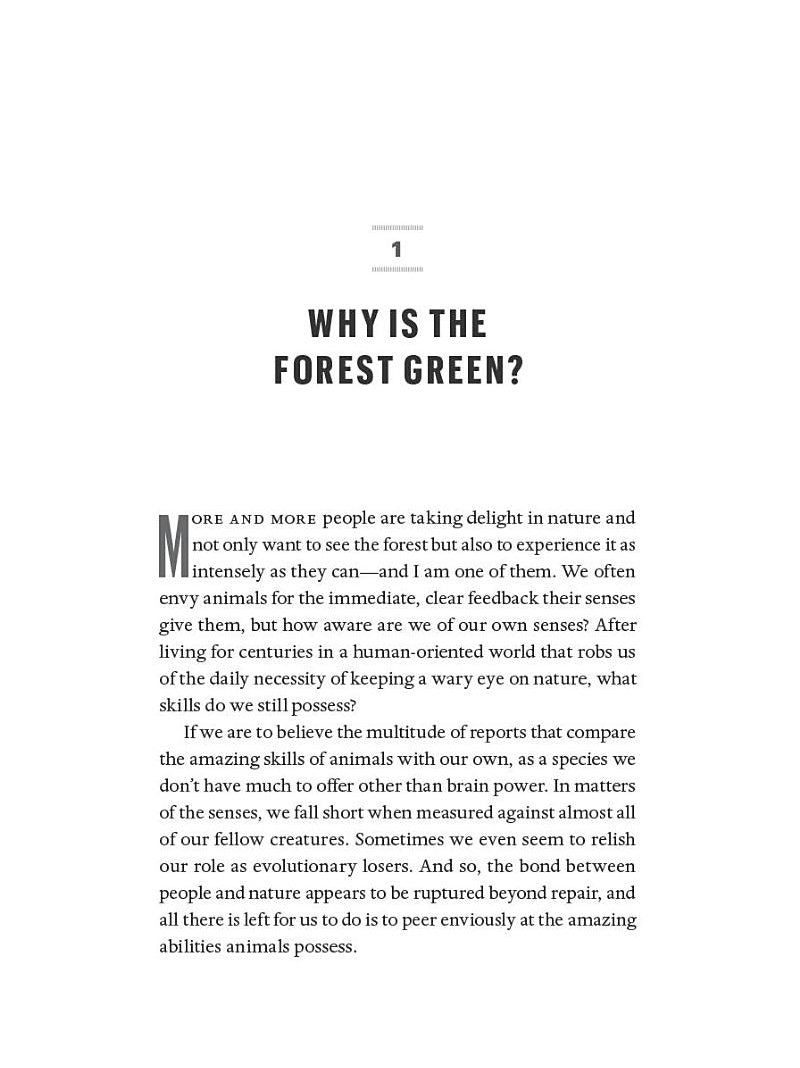 The Heartbeat of Trees: Embracing Our Ancient Bond With Forests and Nature (Peter Wohlleben)-Nonfiction: 動物植物 Animal & Plant-買書書 BuyBookBook