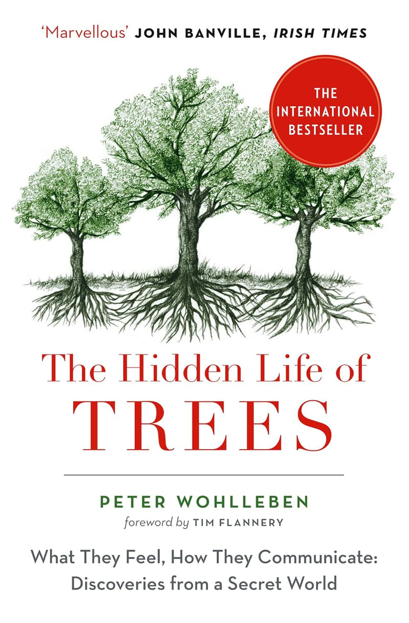 The Hidden Life of Trees (Peter Wohlleben)-Nonfiction: 科學科技 Science & Technology-買書書 BuyBookBook