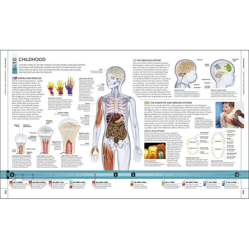 The Human Body Book (Hardback) DK UK