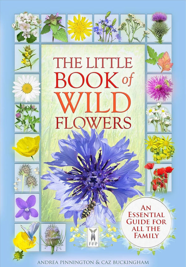 The Little Book Of Wild Flowers (Andrea Pinnington)