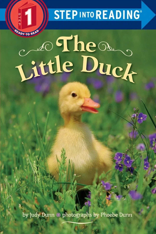 The Little Duck-Children’s / Teenage fiction: Nature and animal stories-買書書 BuyBookBook