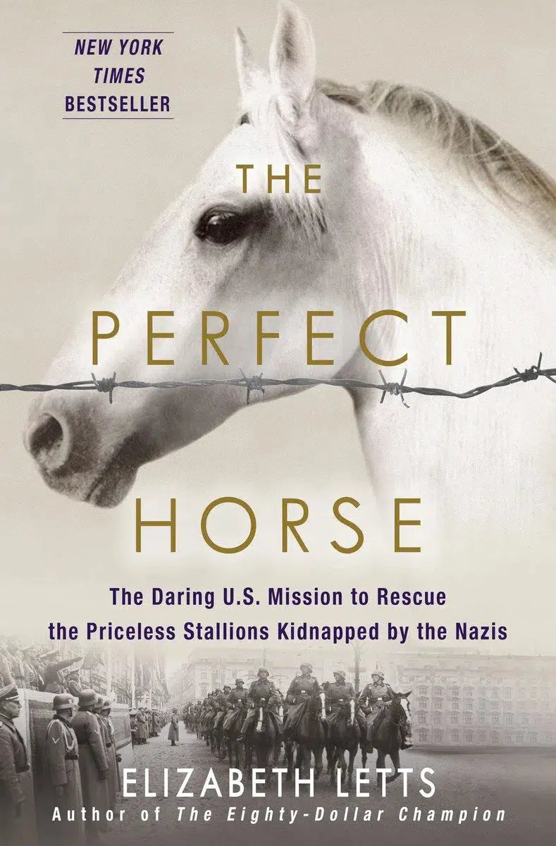 The Perfect Horse-Children’s / Teenage general interest: History and Warfare-買書書 BuyBookBook