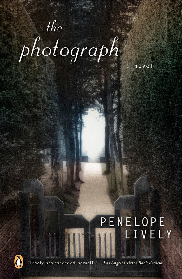 The Photograph-Fiction: Modern and contemporary-買書書 BuyBookBook