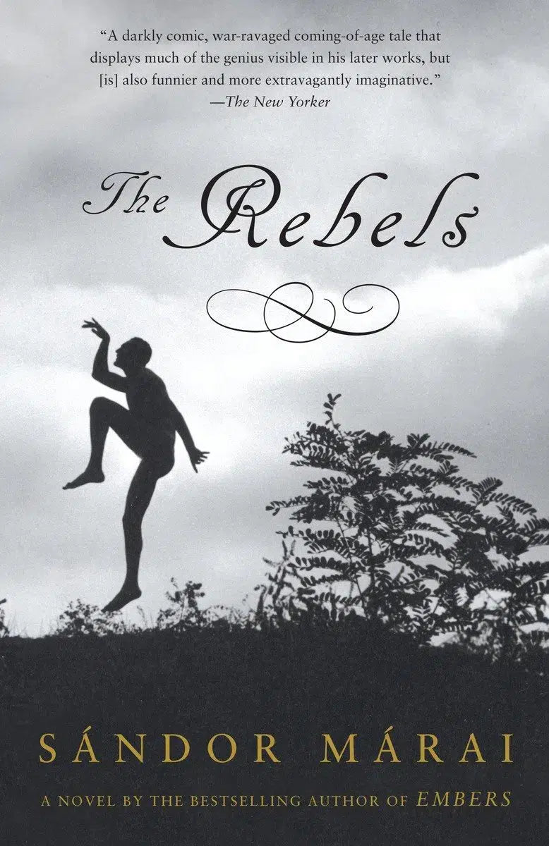 The Rebels-Fiction: general and literary-買書書 BuyBookBook