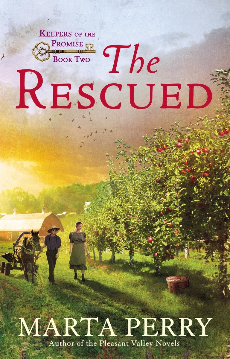 The Rescued-Religious and spiritual fiction-買書書 BuyBookBook