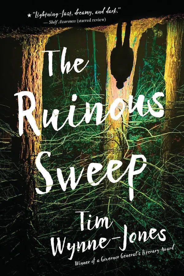 The Ruinous Sweep-Children’s / Teenage fiction: Action and adventure stories-買書書 BuyBookBook