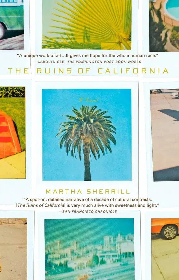 The Ruins of California-Fiction: general and literary-買書書 BuyBookBook