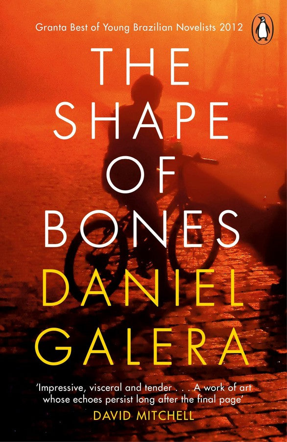 The Shape of Bones-Fiction: general and literary-買書書 BuyBookBook