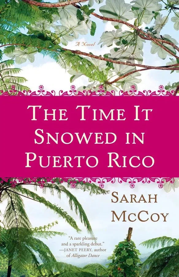 The Time It Snowed in Puerto Rico-Fiction: general and literary-買書書 BuyBookBook