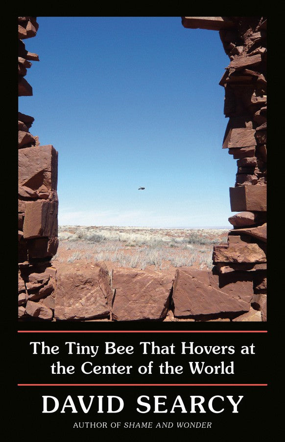 The Tiny Bee That Hovers at the Center of the World-Biography and memoirs-買書書 BuyBookBook