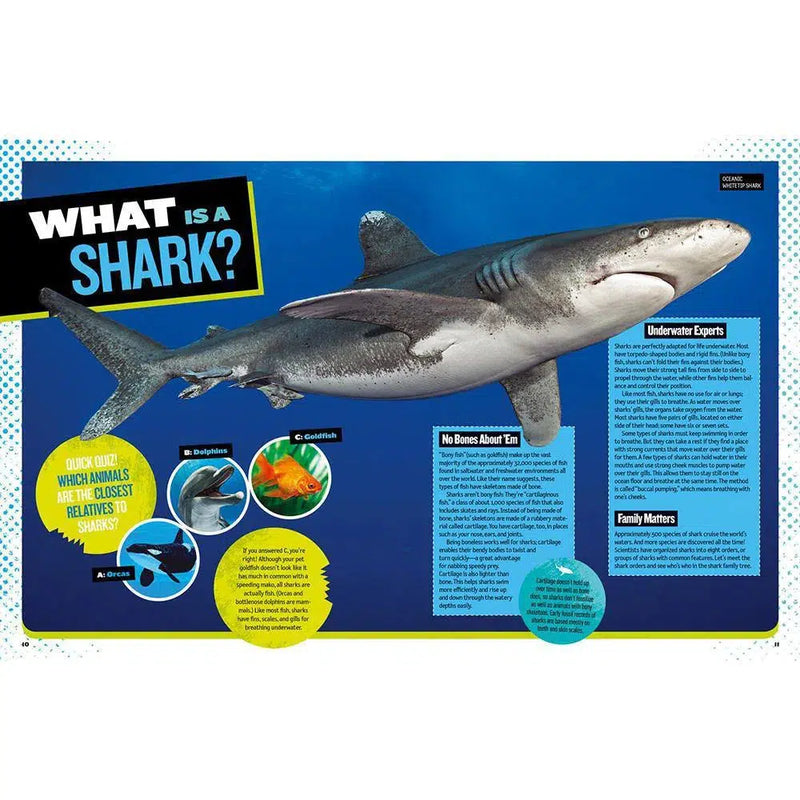 The Ultimate Book of Sharks