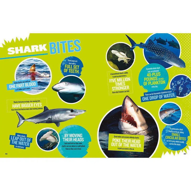 NGK: The Ultimate Book of Sharks (Hardback) National Geographic