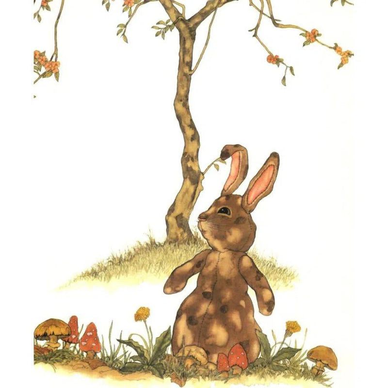 The Velveteen Rabbit: Or How Toys Become Real Macmillan US