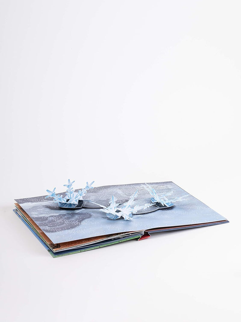 The Weather: Pop-up Book (Maike Biederstaedt)-Nonfiction: 藝術宗教 Art & Religion-買書書 BuyBookBook